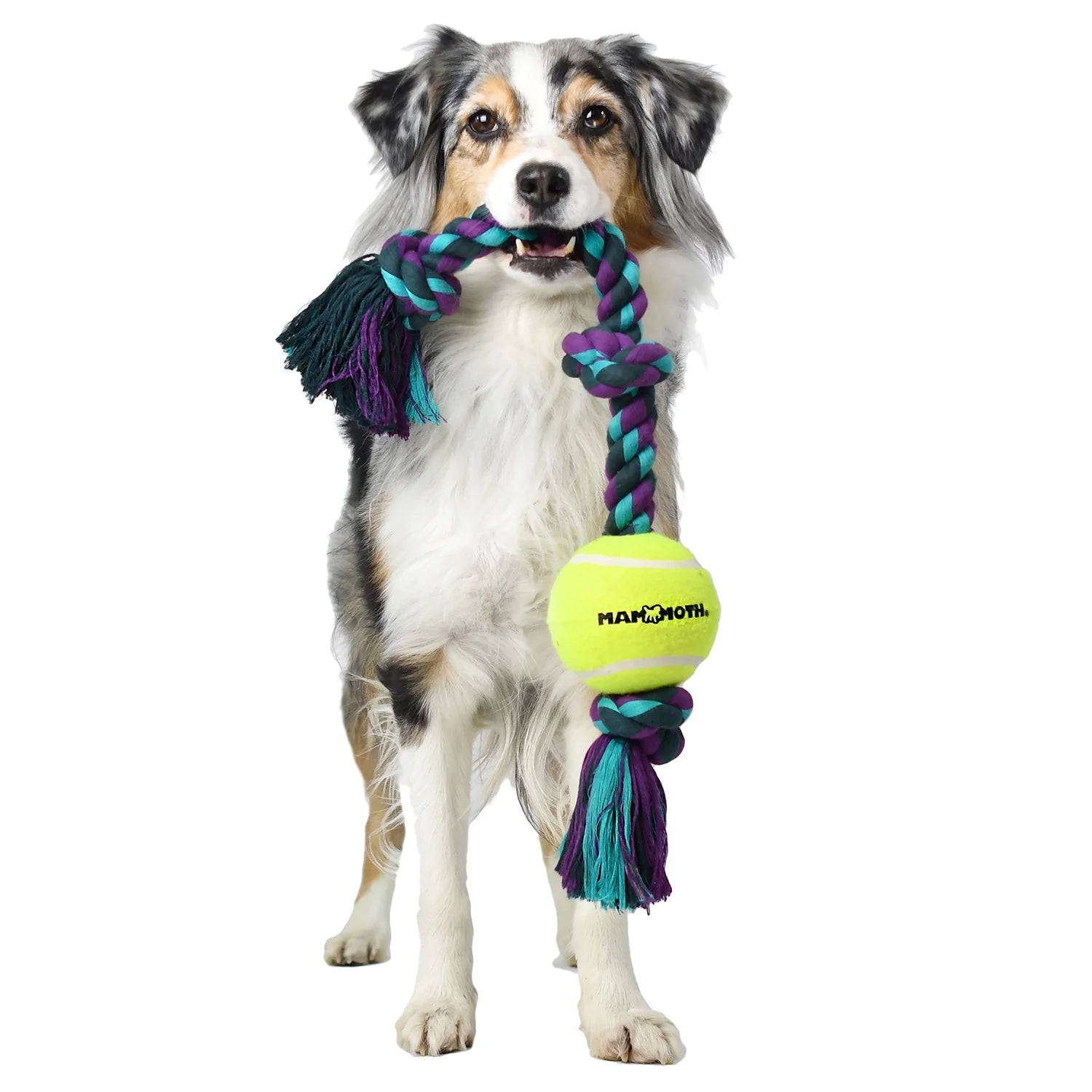 Flossy Chews Cottonblend 3 Knot Tug Rope Dog Toy W 3” Tennis Ball, Medium 20", Asst Colors