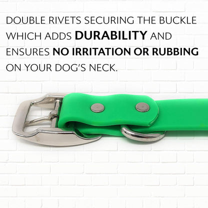 Small Light Green Dog Collar with Heavy Duty Double Buckle & D Ring Vinyl Coated, Custom Fit, Adjustable Biothane Dog Collar | Chew Resistant Waterproof Center-Ring Collar for Dogs