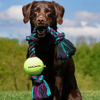 Flossy Chews Cottonblend 3 Knot Tug Rope Dog Toy W 3” Tennis Ball, Medium 20", Asst Colors