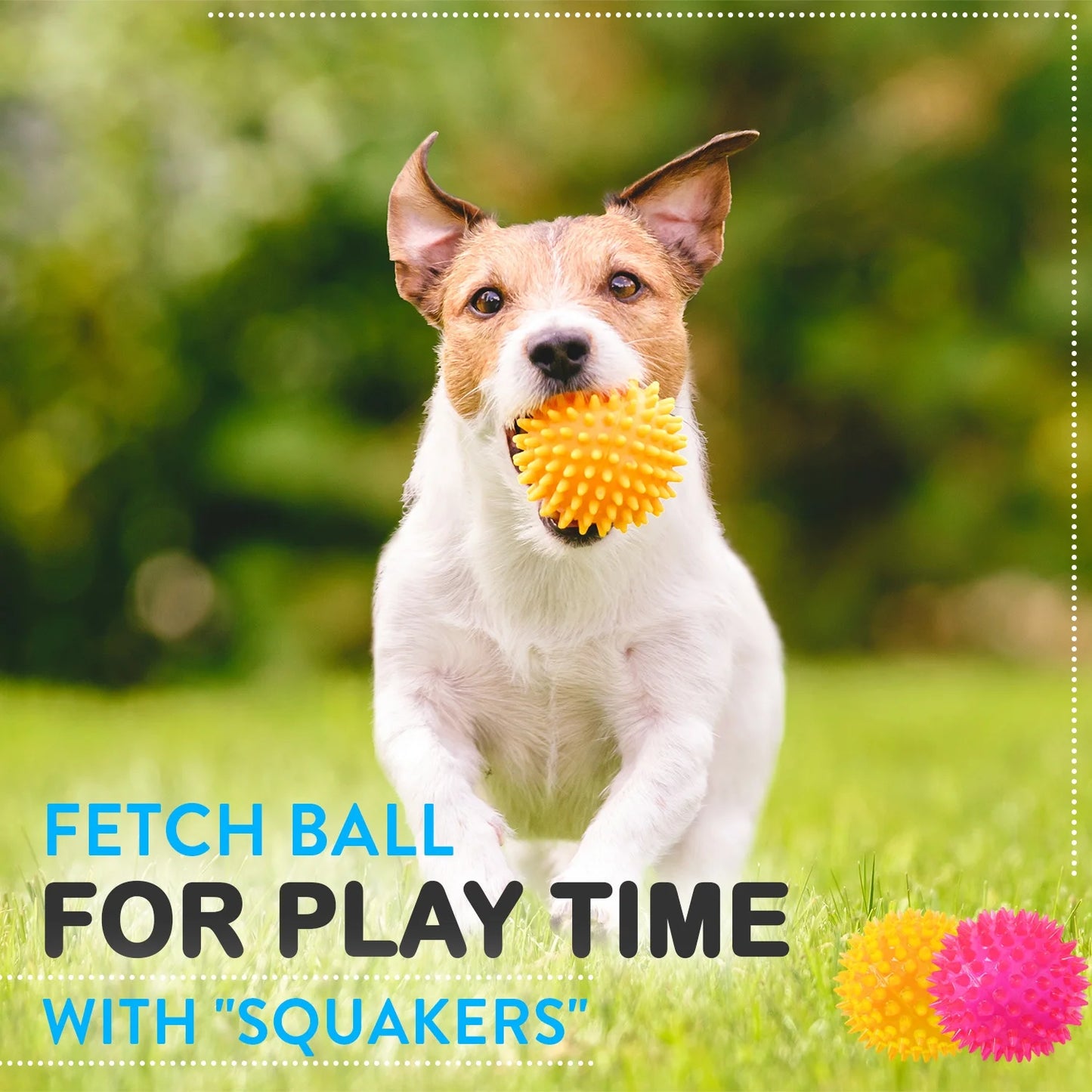 6 Pack of Dog Balls - Treat Balls, Squeaky Tennis & Spikey Balls