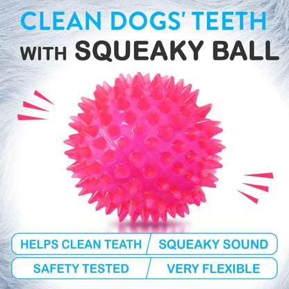 6 Pack of Dog Balls - Treat Balls, Squeaky Tennis & Spikey Balls