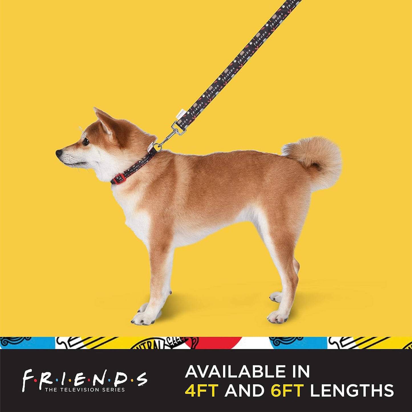 Iconic Graphics Dog Leash, 4 Ft Dog Leash (48 Inches) | Cute Black Dog Leash Easily Attaches to Any Dog Collar or Harness | Friends TV Show Dog Leash for All Dogs