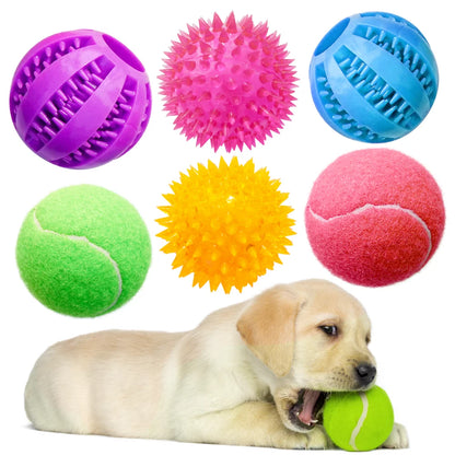 6 Pack of Dog Balls - Treat Balls, Squeaky Tennis & Spikey Balls