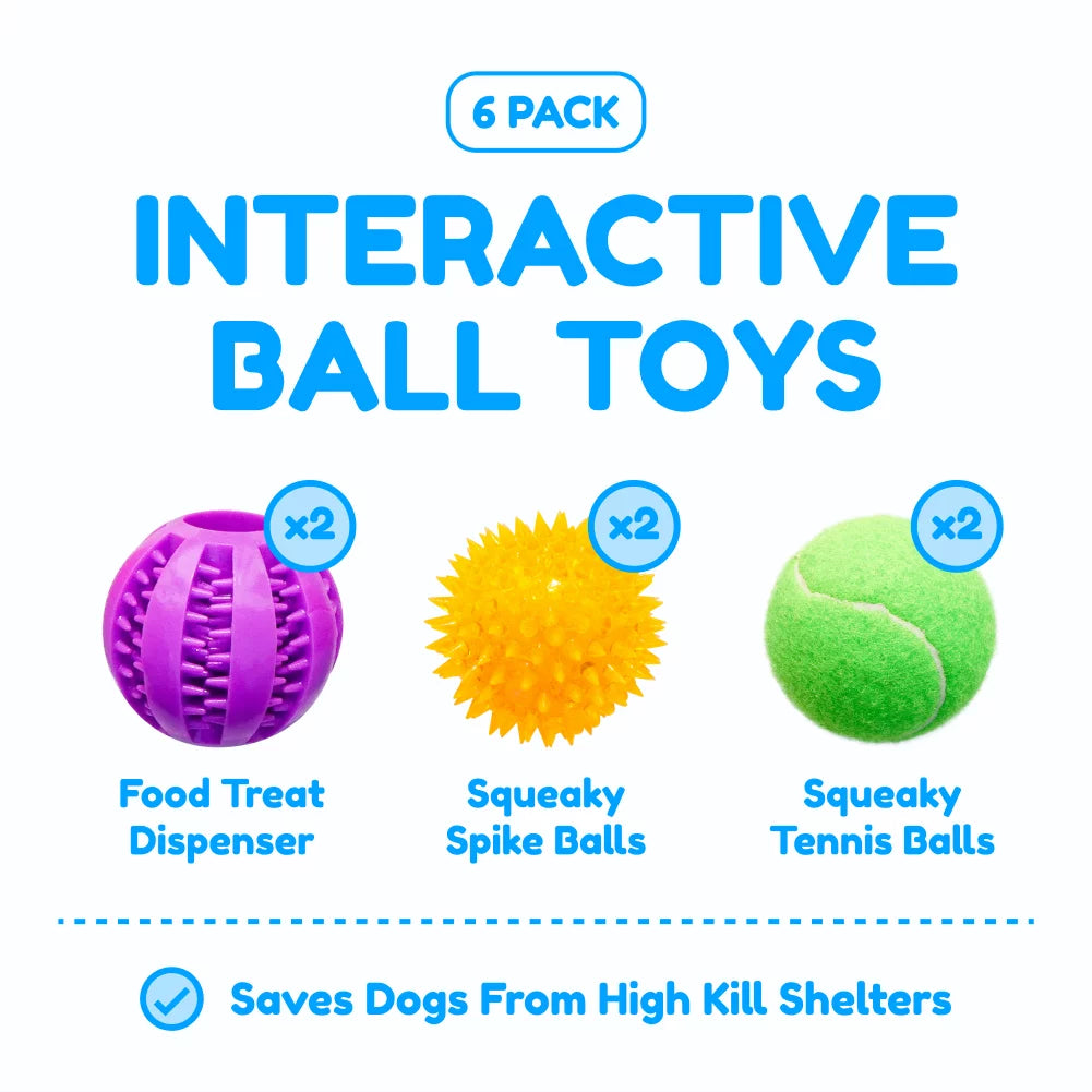 6 Pack of Dog Balls - Treat Balls, Squeaky Tennis & Spikey Balls