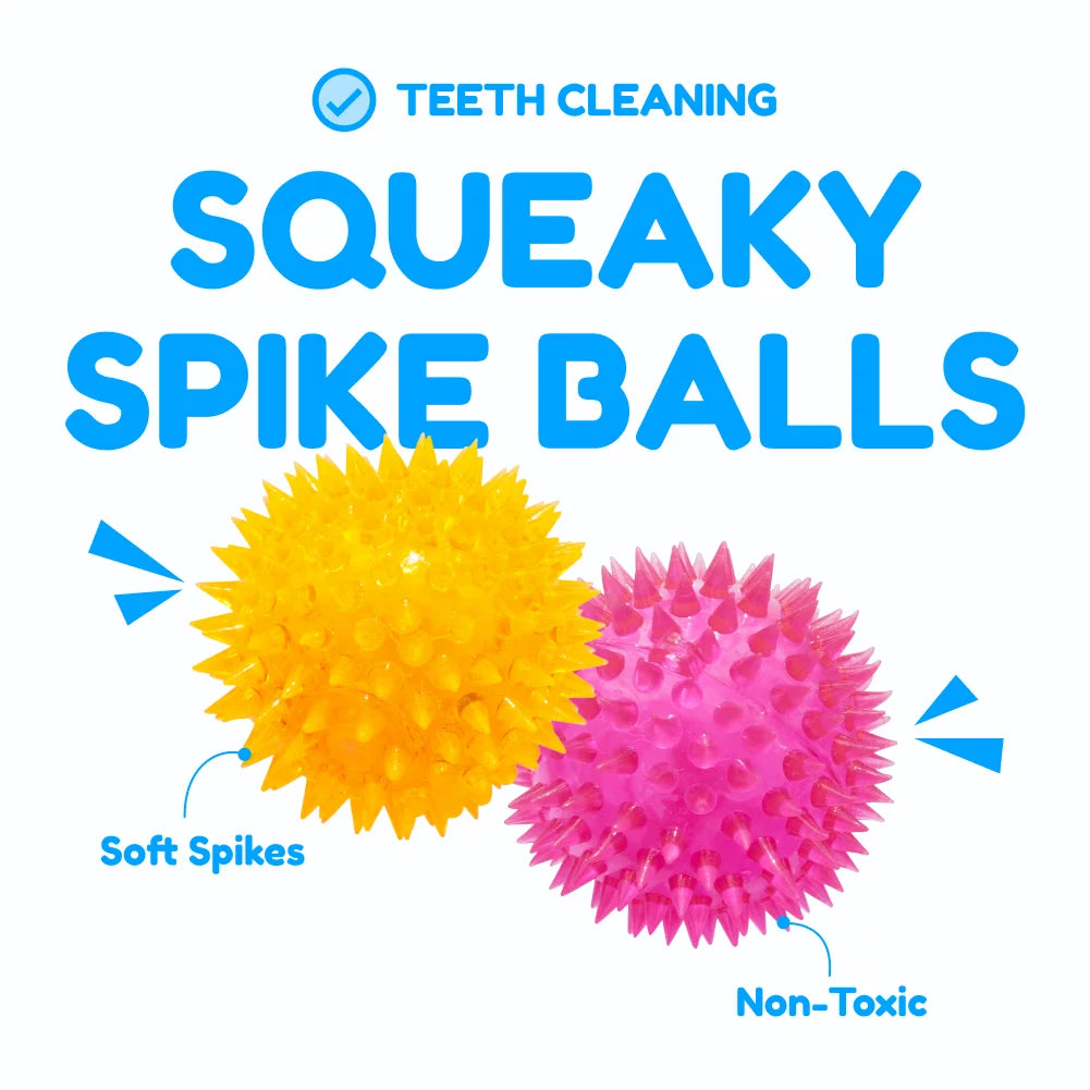 6 Pack of Dog Balls - Treat Balls, Squeaky Tennis & Spikey Balls