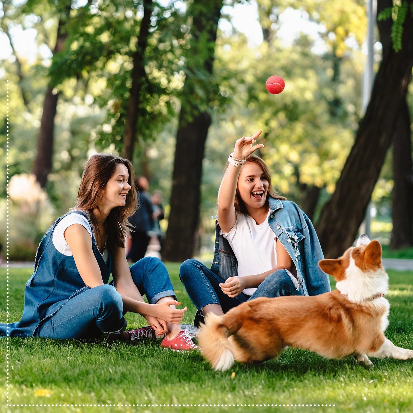 6 Pack of Dog Balls - Treat Balls, Squeaky Tennis & Spikey Balls